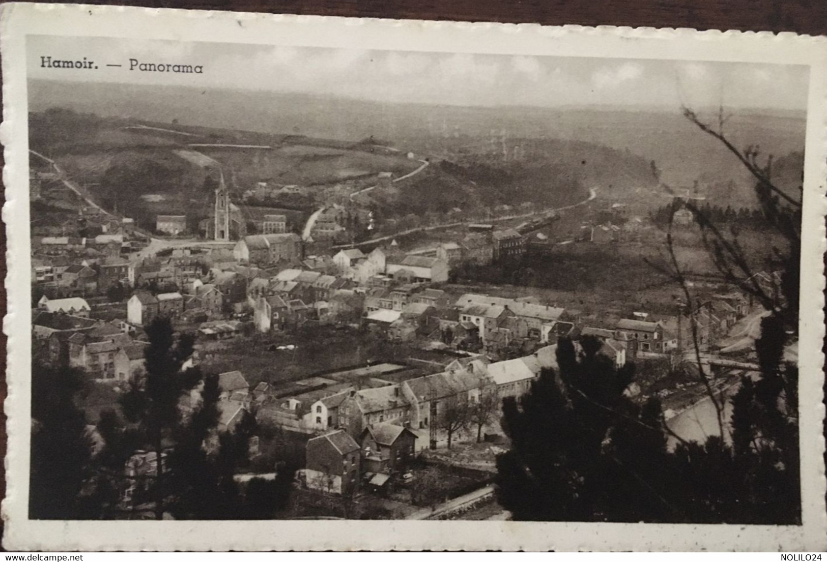 Cpa, Hamoir, Panorama, Belgique - Hamoir