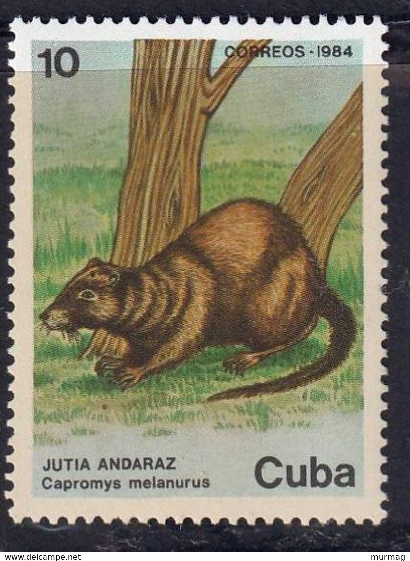 CUBA - Faune, Escargot, Jubo, Almiqui, Jutia Andaraz - 1984 - MNH - Autres & Non Classés