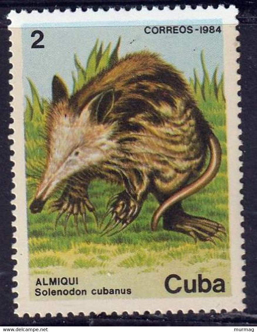 CUBA - Faune, Escargot, Jubo, Almiqui, Jutia Andaraz - 1984 - MNH - Otros & Sin Clasificación