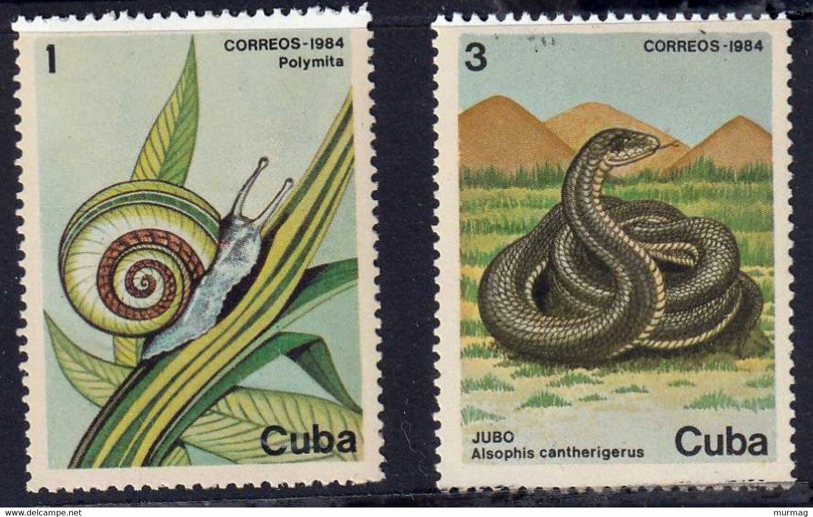 CUBA - Faune, Escargot, Jubo, Almiqui, Jutia Andaraz - 1984 - MNH - Autres & Non Classés