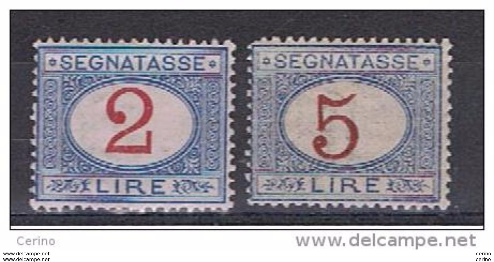 REGNO:  1903  TASSE  -  S. CPL. 2  VAL.  AZZURRO  E  CARMINIO  L. -  BUONA  CENTRATURA  -  SASS. 29/30 - Portomarken