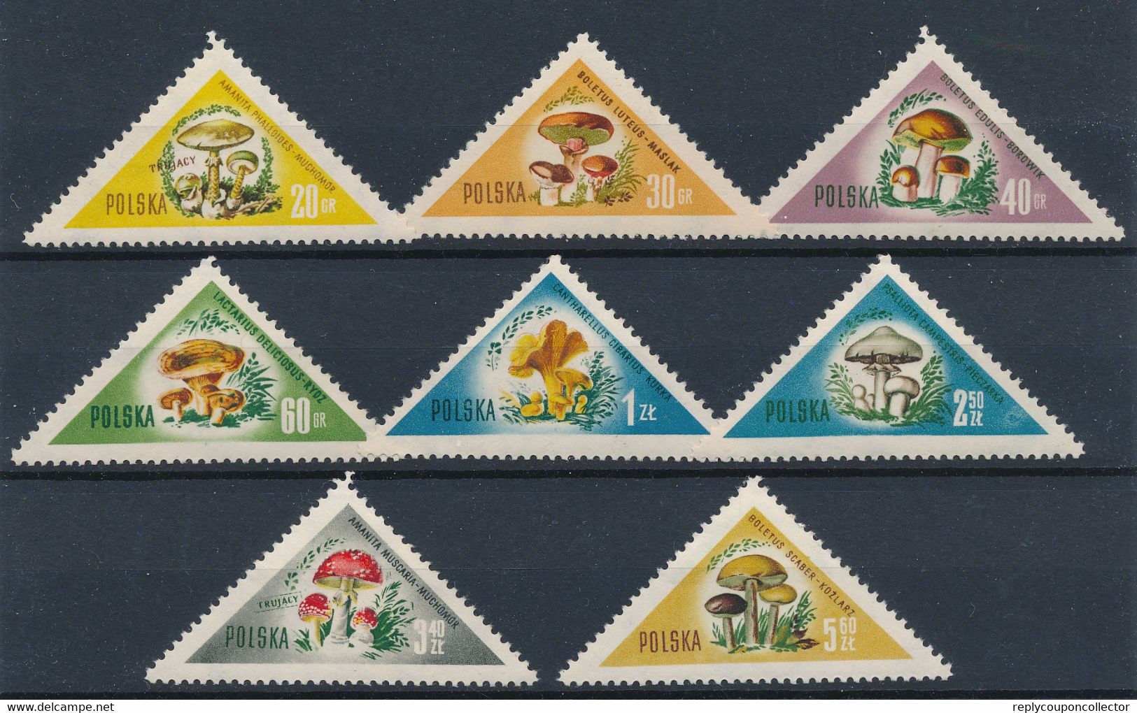 POLEN / POLAND / POLSKA  -  1959  ,  Pilze , Fungi   -  Michel 1093-1100   MNH / ** - Unused Stamps