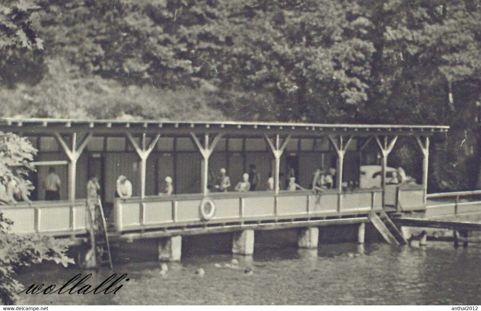 Rarität Schwimmbad Waldbad Holztribüne Altenbrak SA 5.6.1966 A 1/B 381/65 IV-14-45 7/1559 - Altenbrak