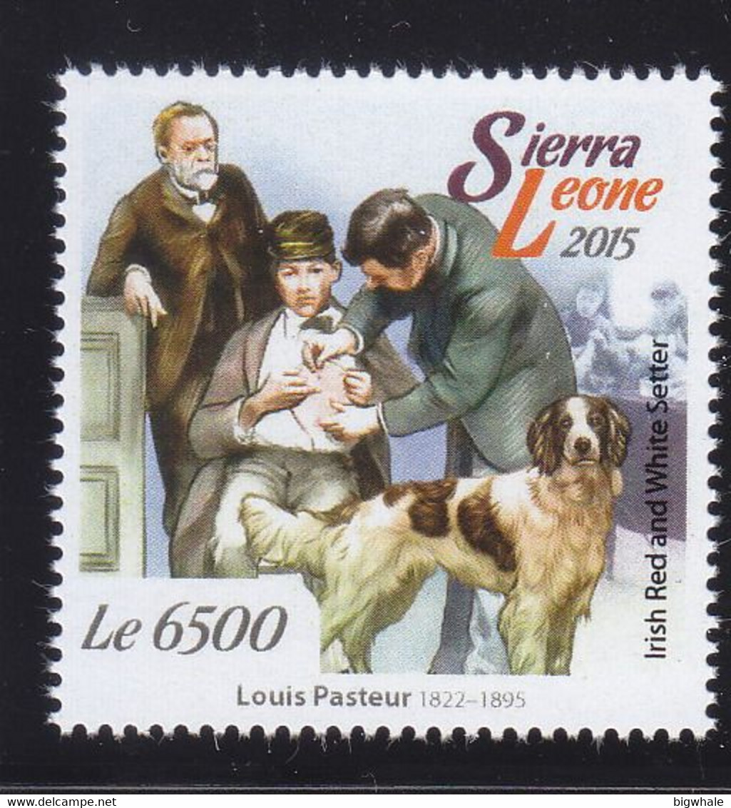 Sierra Leone 2015 Louis Pasteur Dog Chien MNH 1V ** - Sierra Leone (1961-...)