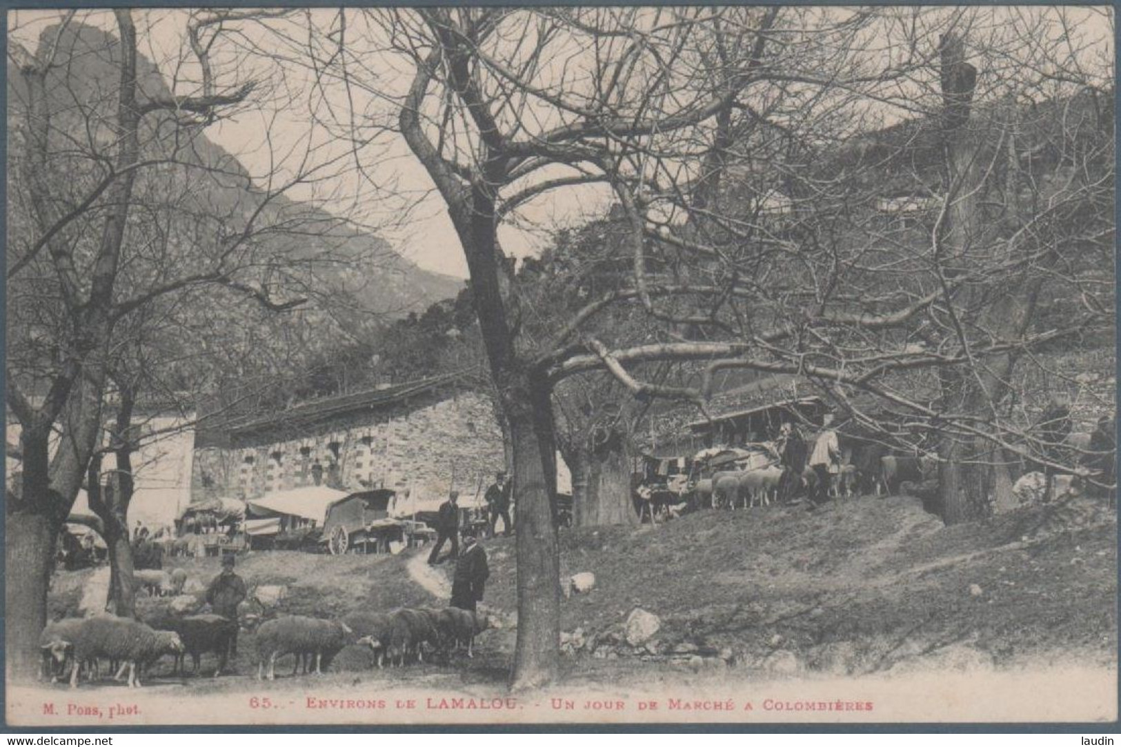 Environ De Lamalou , Un Jour De Marché à Colombières , Animée - Lamalou Les Bains