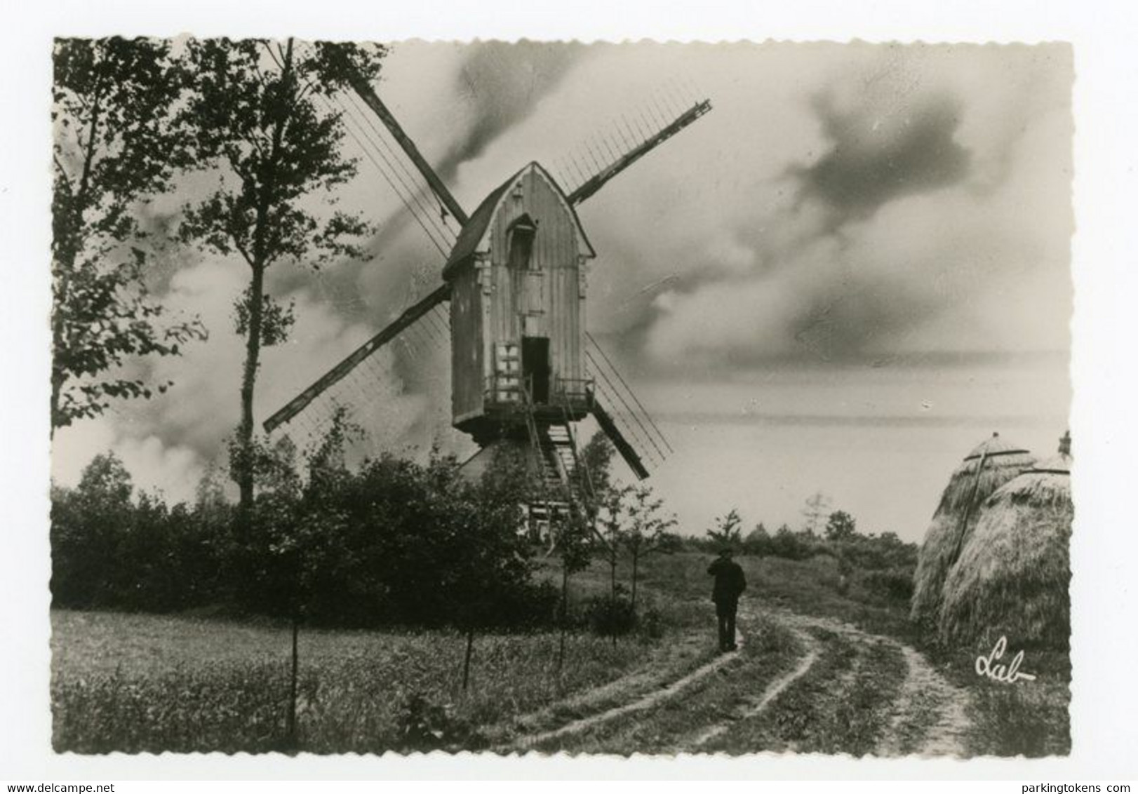 D803 - Olen - Grootformaatkaart 10x15cm - Molen - Moulin - Mill - Mühle - - Olen