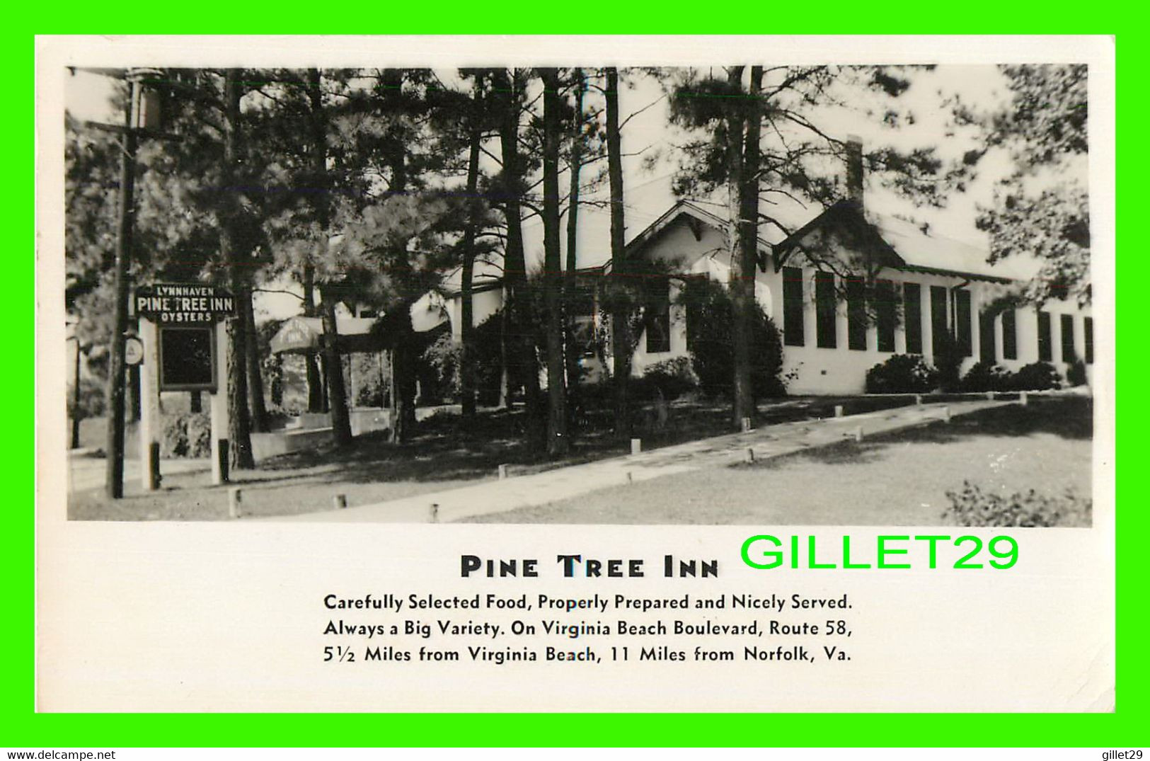 NORFOLK, VA - LYNNHAVEN PINE TREE INN OYSTERS - GENUINE PHOTOGRAPH - - Norfolk