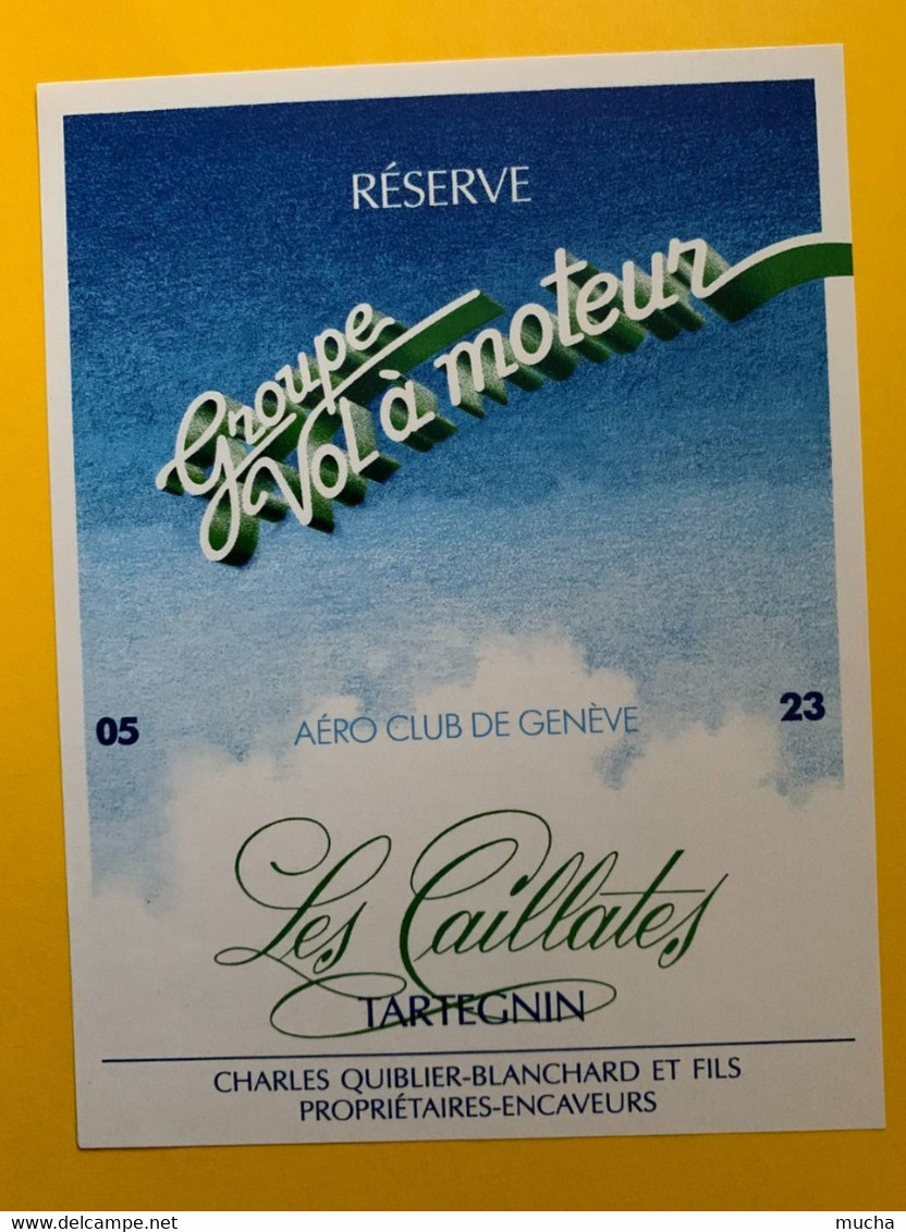 18453 - Réserve Groupe Vol à Moteur Aéro Club De Genève Tartegnin Les Caillates - Vliegtuigen