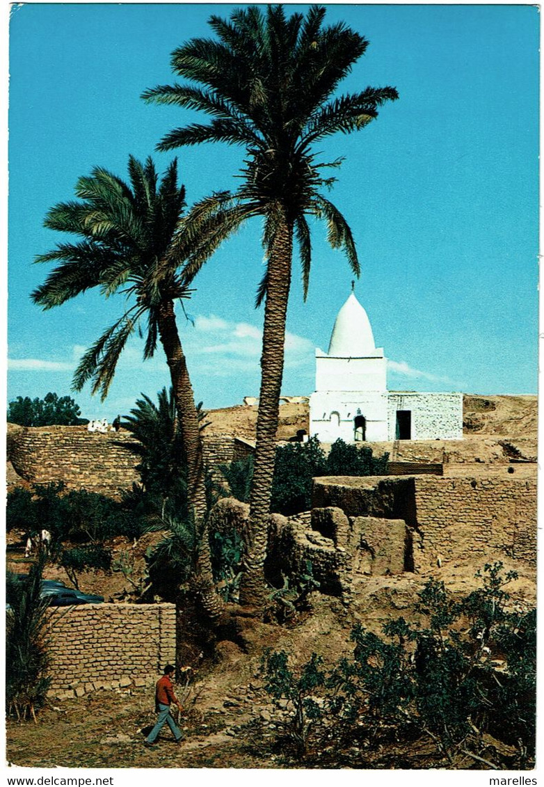 CPSM Algérie. M'Sila, Marabout, Timbre, 1976 - M'Sila
