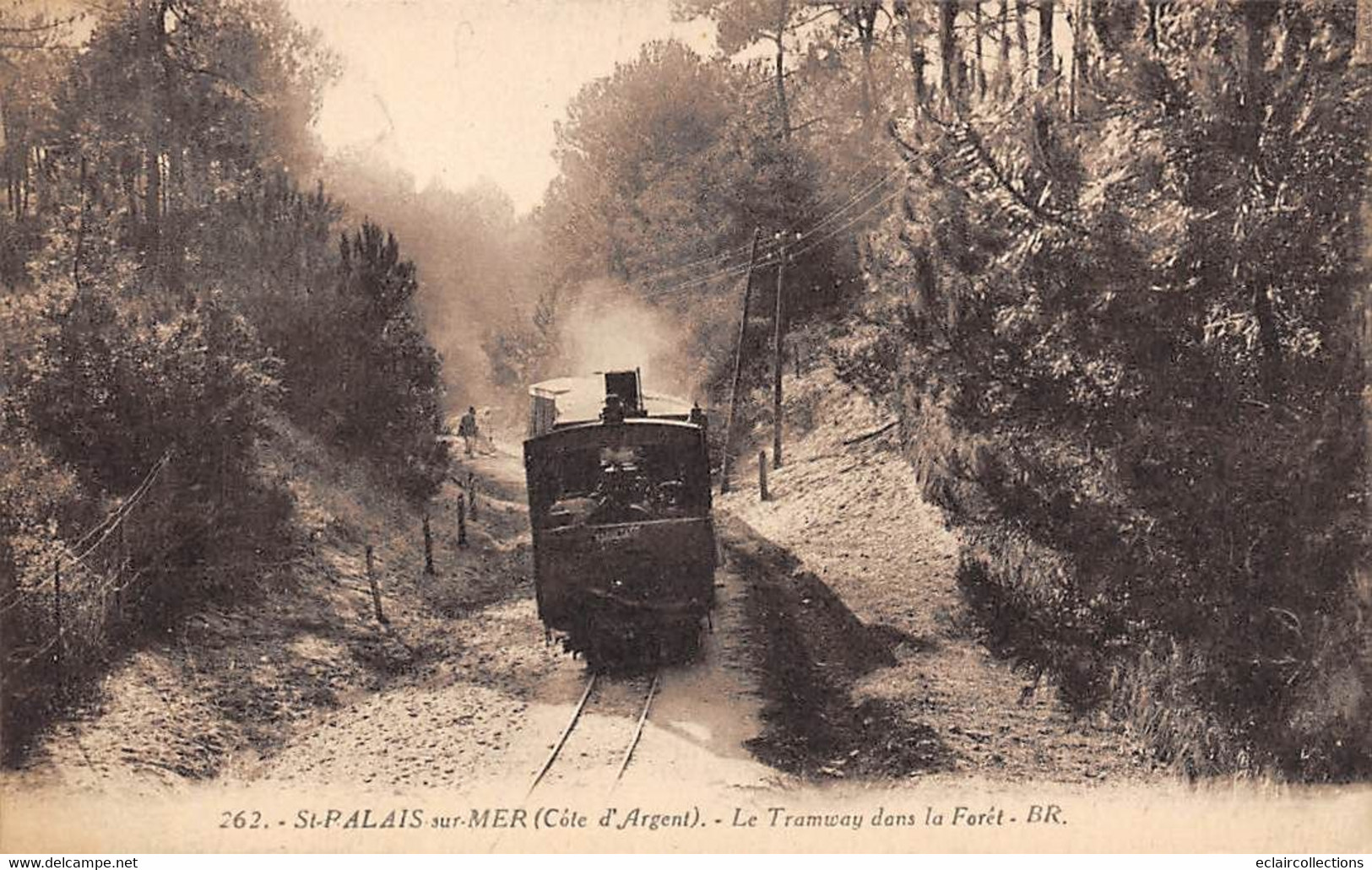 Saint Palais Sur Mer            17        Le Tramway Dans La Forêt     BR 263        (voir Scan) - Saint-Palais-sur-Mer