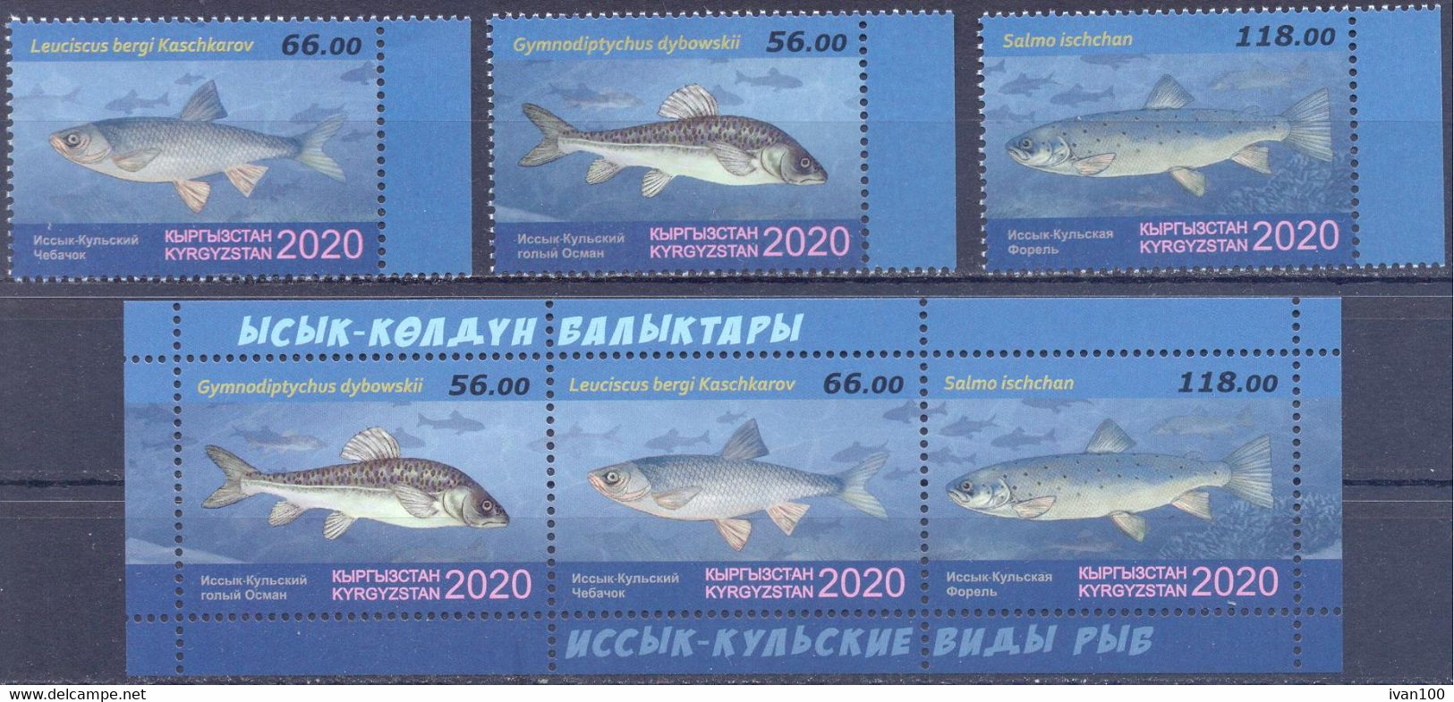 2020. Kyrgyzstan, Fauna Of Kyrgyzstan, Fishes, 3v + S/s Perforated, Mint/** - Kirghizstan