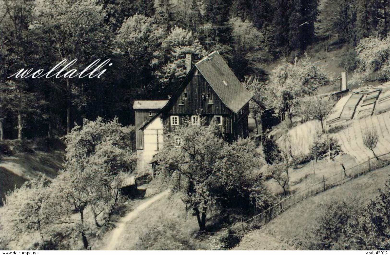 Rarität Wohnhaus Hinterhermsdorf Dorfbachtal Sw 25.7.1963  Verlag H. Wagner - Hinterhermsdorf