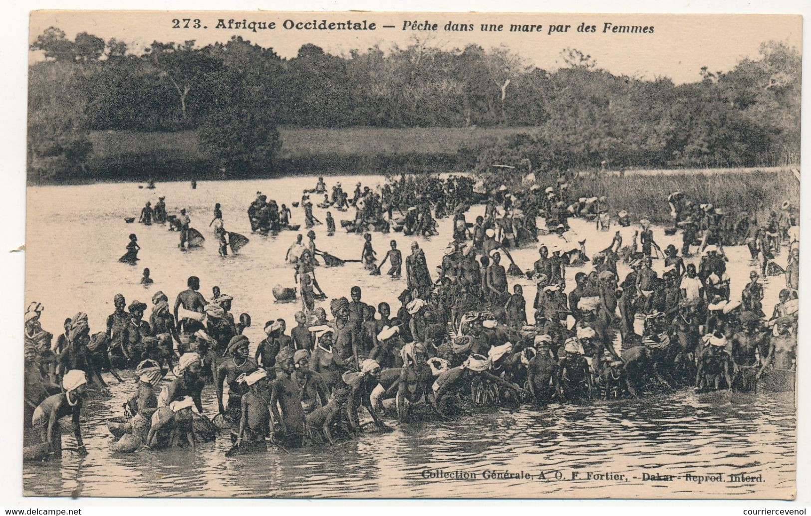 CPA - Afrique Occidentale (SENEGAL) - Pêche Dans Une Mare Par Des Femmes - Senegal