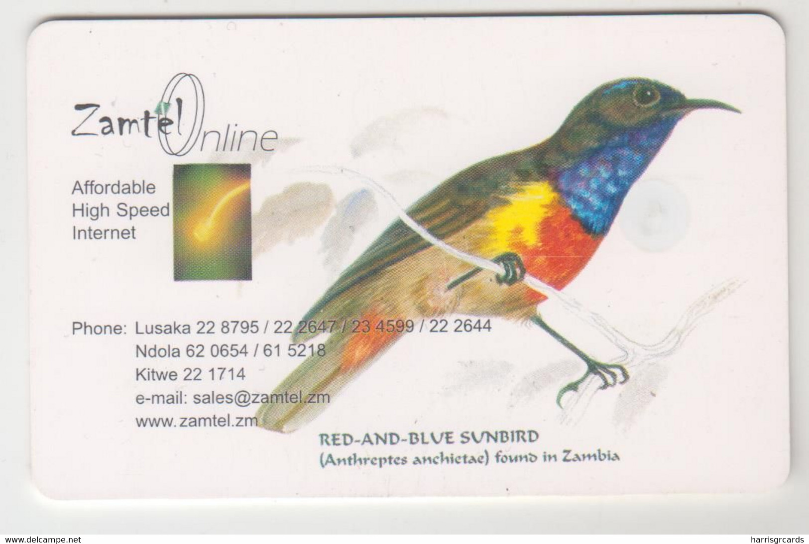 ZAMBIA - Blue Sunbird,  Zamtel Online ,10,000 ZK, Used - Zambie