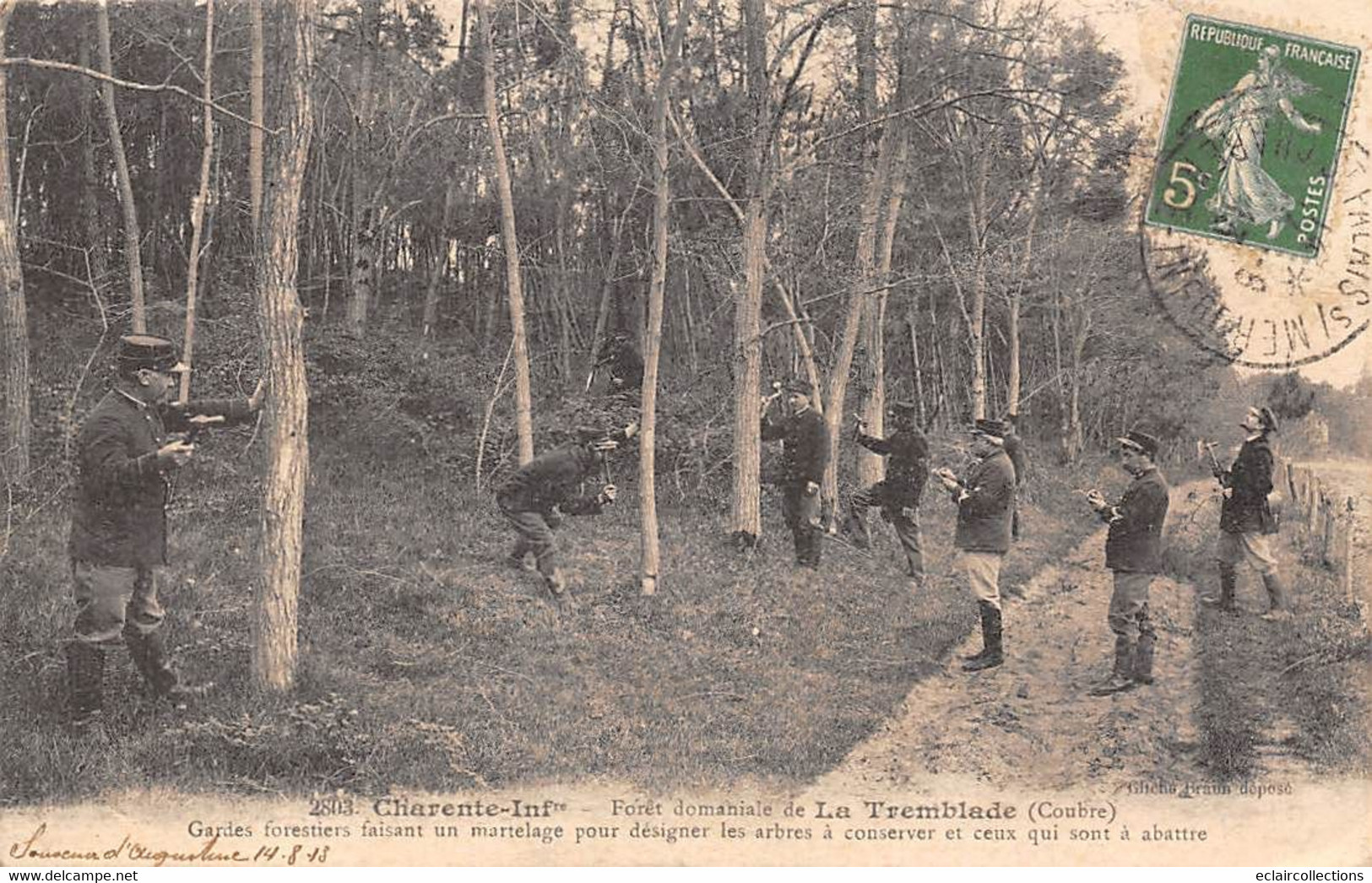 La Tremblade           17            Forêt.  Gardes Forestiers Faisant Un Martelage         (voir Scan) - La Tremblade