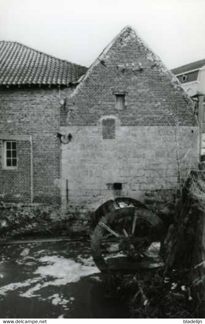 ERPE - Erpe-Mere (O.Vl.) - Molen/moulin - Van Der Biestmolen, Nog In Het Bezit Van Zijn Metalen Bovenslagrad. (1993) - Erpe-Mere