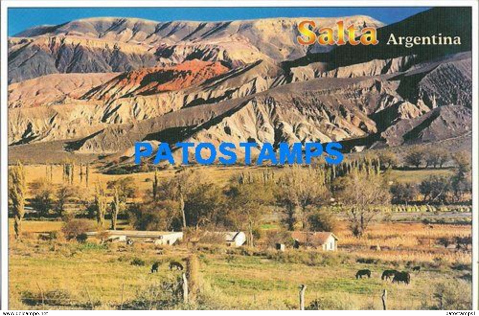 154559 ARGENTINA SALTA QUEBRADA DEL TORO VISTA PARCIAL ONLY FOR CUSTOMERS POSTAL POSTCARD - Argentina