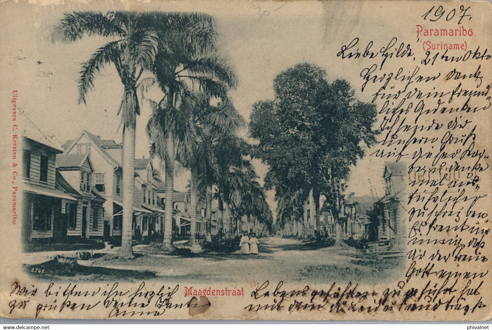 1907 T.P. CIRCULADA , SURINAME / SURINAM ,  PARAMARIBO - MAAGDENSTRAAT - Suriname
