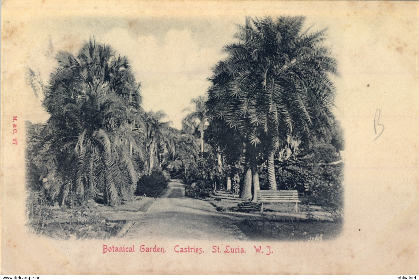 T.P.  NO CIRCULADA  , SANTA LUCIA , BOTANICAL GARDEN , CASTRIES - Santa Lucia