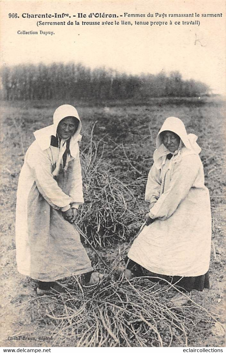 Ile D'Oléron        17       Femmes Du Pays Ramassant Le Sarment   Cliché Braun  N° 966   (voir Scan) - Ile D'Oléron