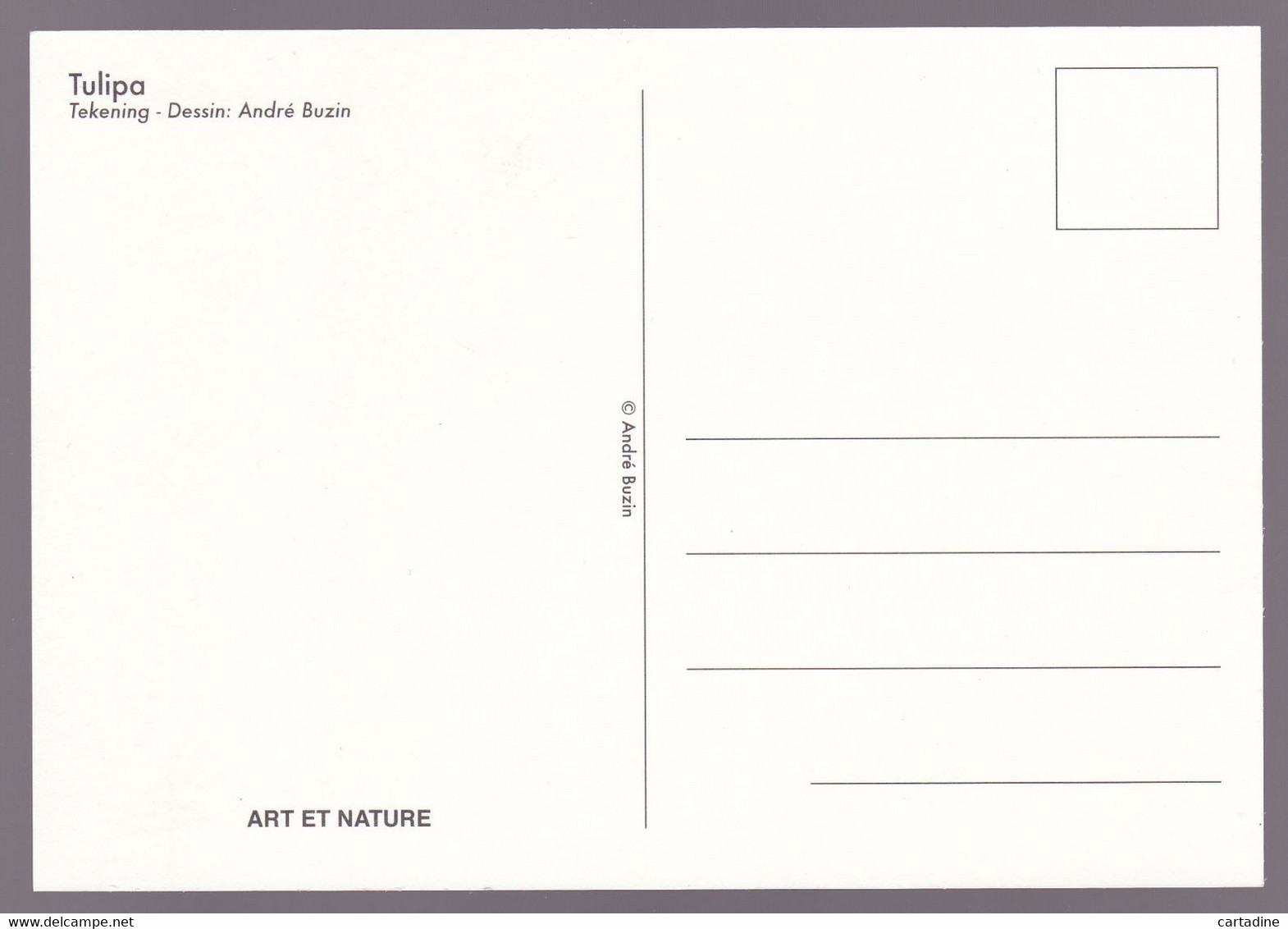 Carte Maximum  FLEURS - BUZIN André - Tulipe "Bakeri" - Timbre N°3872 ND En Haut - Oblitération Bruxelles - 2001-2010