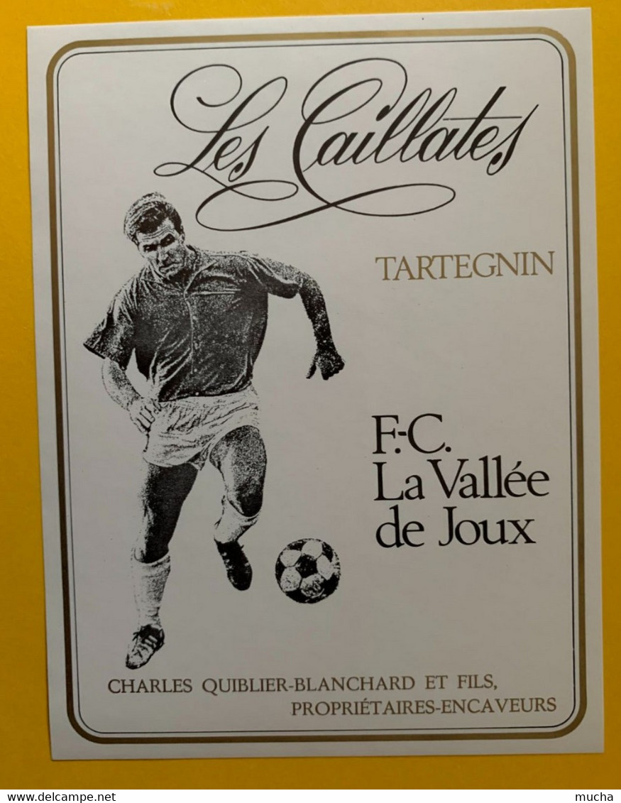 18488 - FC Vallée De Joux Tartegnin Les Caillates - Soccer