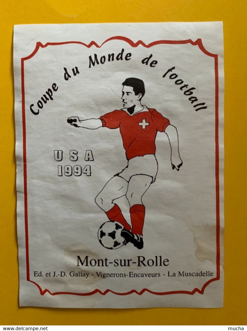 18507 - Coupe Du Monde De Football USA 1994 Mont-sur-Rolle La Muscadelle - Fútbol