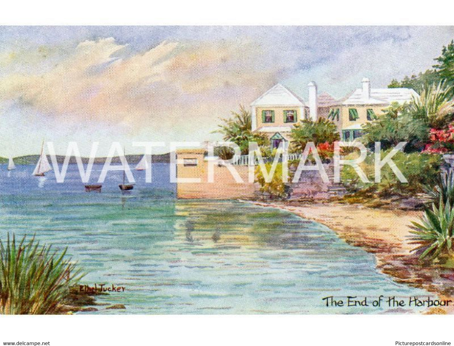 BERMUDA THE END OF THE HARBOUR OLD ART COLOUR POSTCARD ANTILLES BY ETHEL & C. F. TUCKER NO31 PLAIN BACK POSTCARD - Bermuda