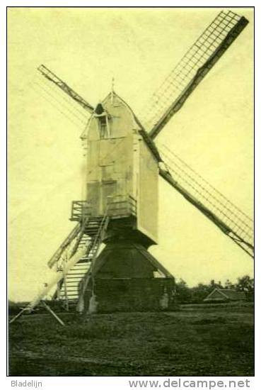 MERKSPLAS (Prov. Antwerpen) - Molen/moulin - De Verdwenen Standaardmolen "Arbeid Adelt" Ca. 1930 - Merksplas