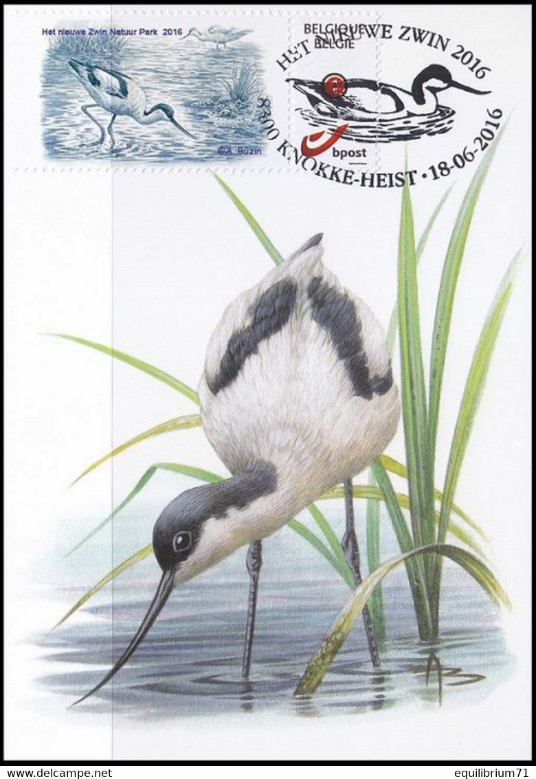 CM/MK - MYSTAMP° - FDC - Avocette élégante / Kluut / Avocet / Recurvirostra Avosetta - Zwin - BUZIN - Briefe U. Dokumente