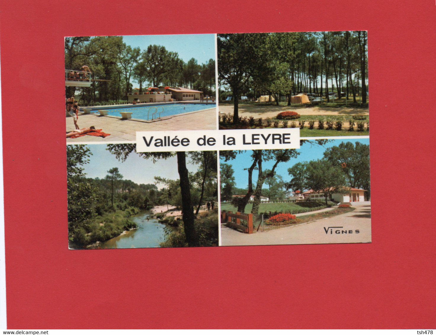 40-----VALLEE DE LA LEYRE--la Piscine Le Camping Les Terrains De Jeux De SABRES--la LEYRE--multi-vues--voir 2 Scans - Sabres