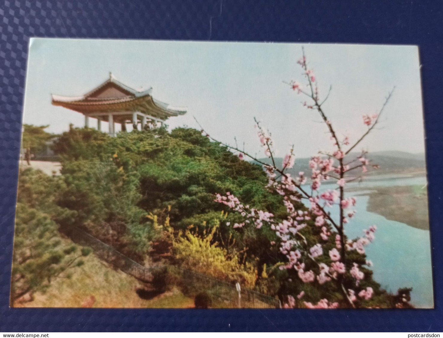 KOREA NORTH 1950s  Postcard - Pyongyang  - Mangebon Park - Korea, North