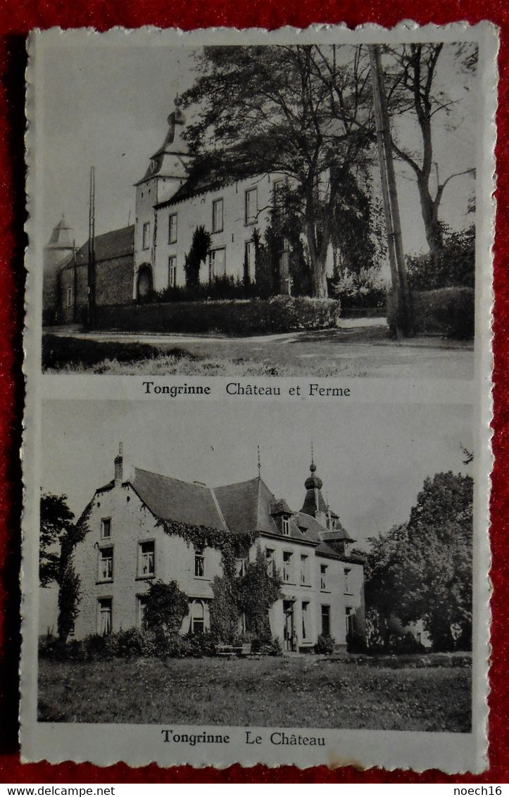 CP Tongrinne Château Et Ferme - Sombreffe