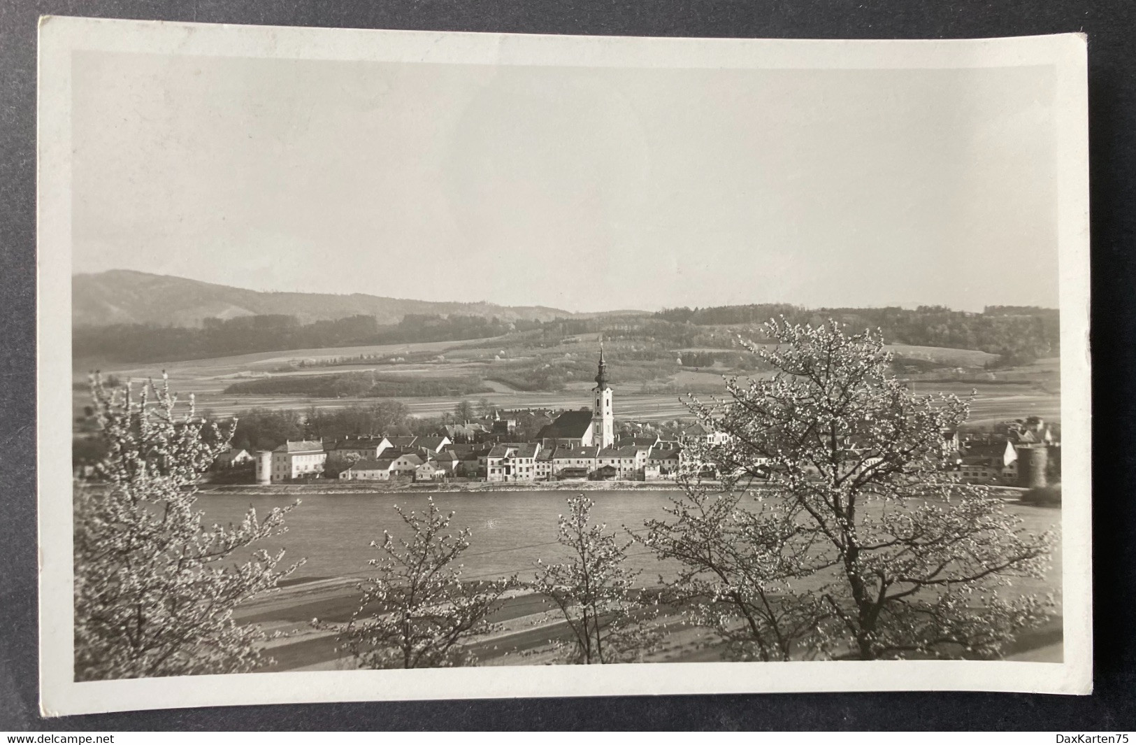 Pöchlarn Ortsansicht Gestempelt 1951 - Pöchlarn