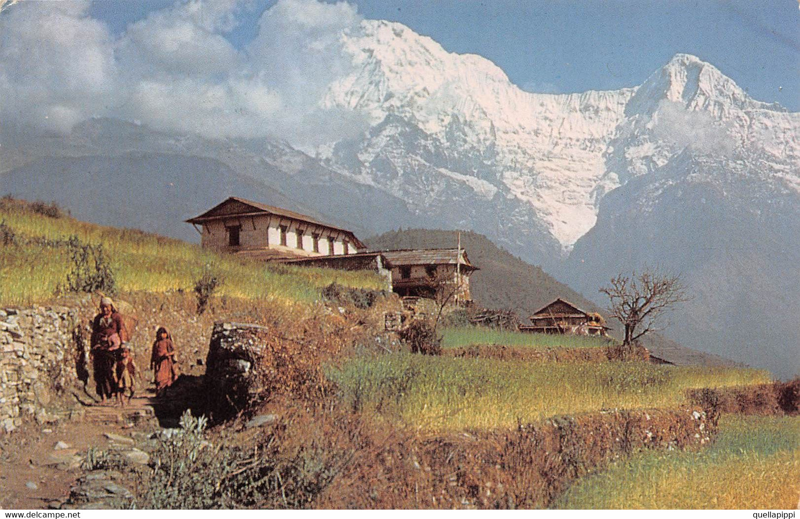 M012312 "HOTEL ANNAPURNA-KATHMANDU-NEPAL" ANIMATA-VERA FOTO-CART SPED 1969 - Népal