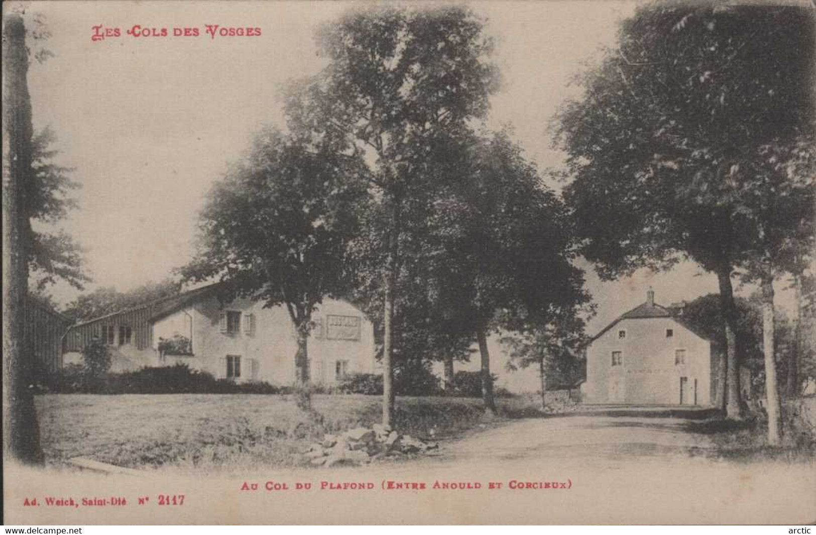 Au Col Du Plafond (entrée Anould Et Corcieux ) - Anould