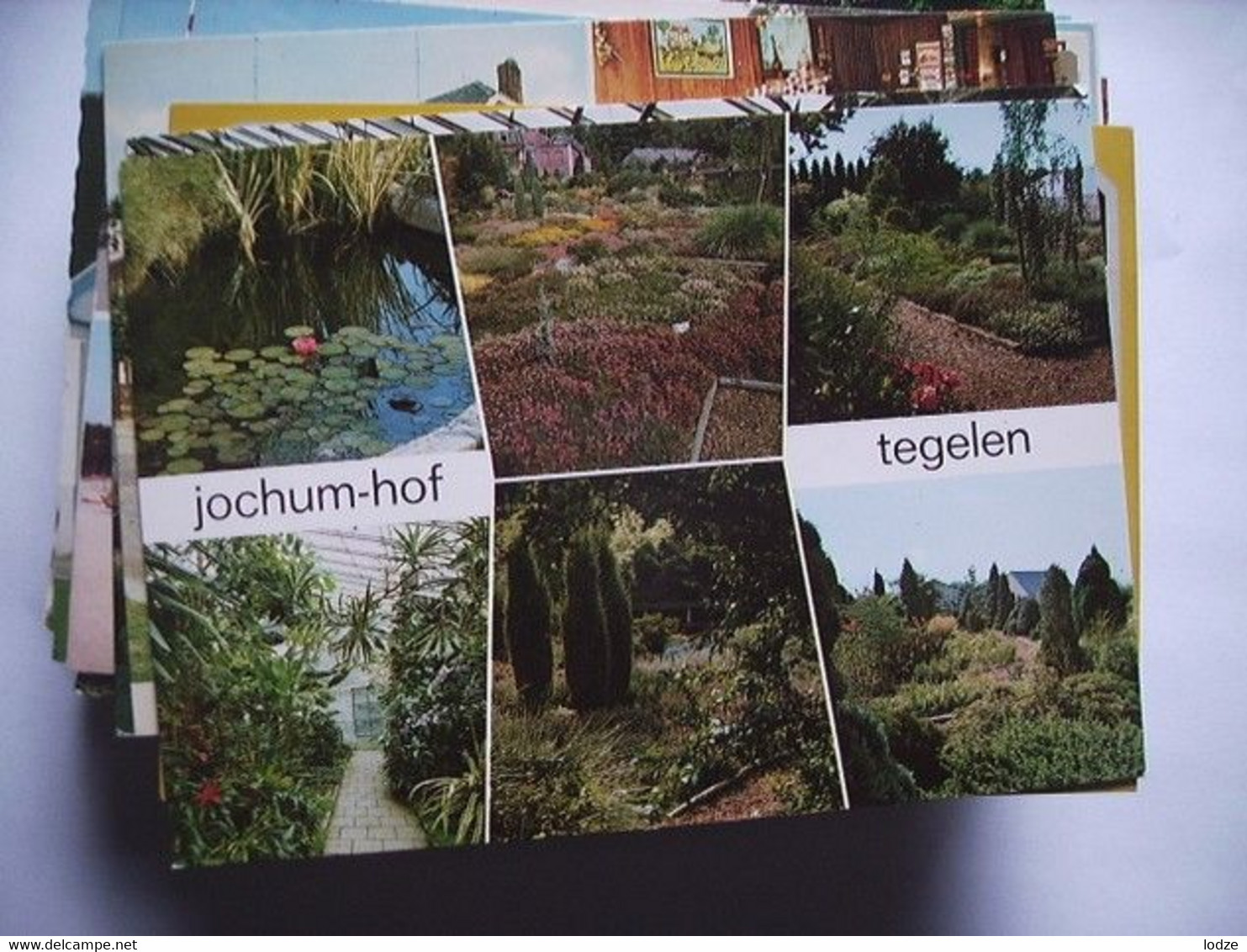 Nederland Holland Pays Bas Tegelen Bij Venlo Met Botanische Tuin Jochum Hof 3 - Tegelen