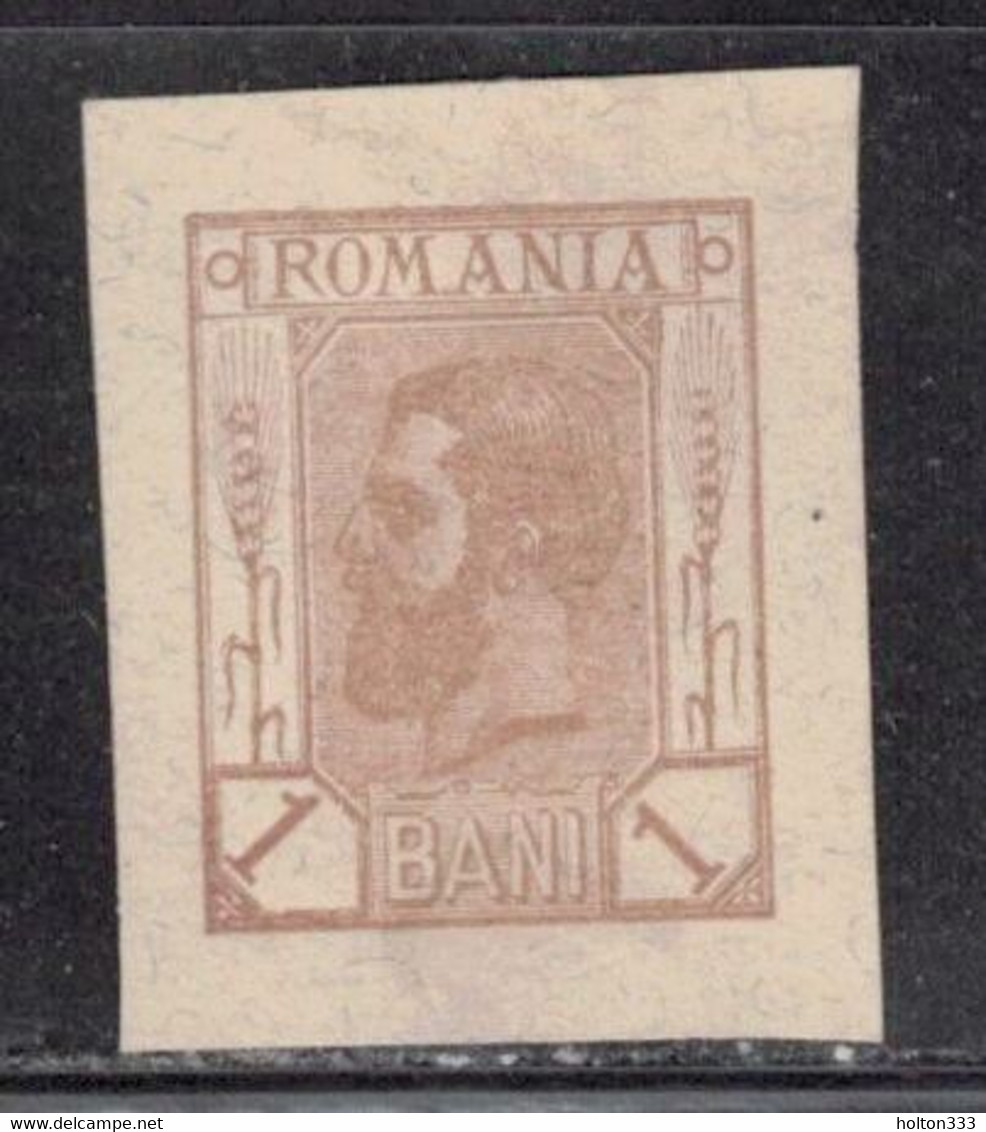 ROMANIA Like Scott # 117 Unused - Proof ? Postal Stationery ? Not Sure - Autres & Non Classés