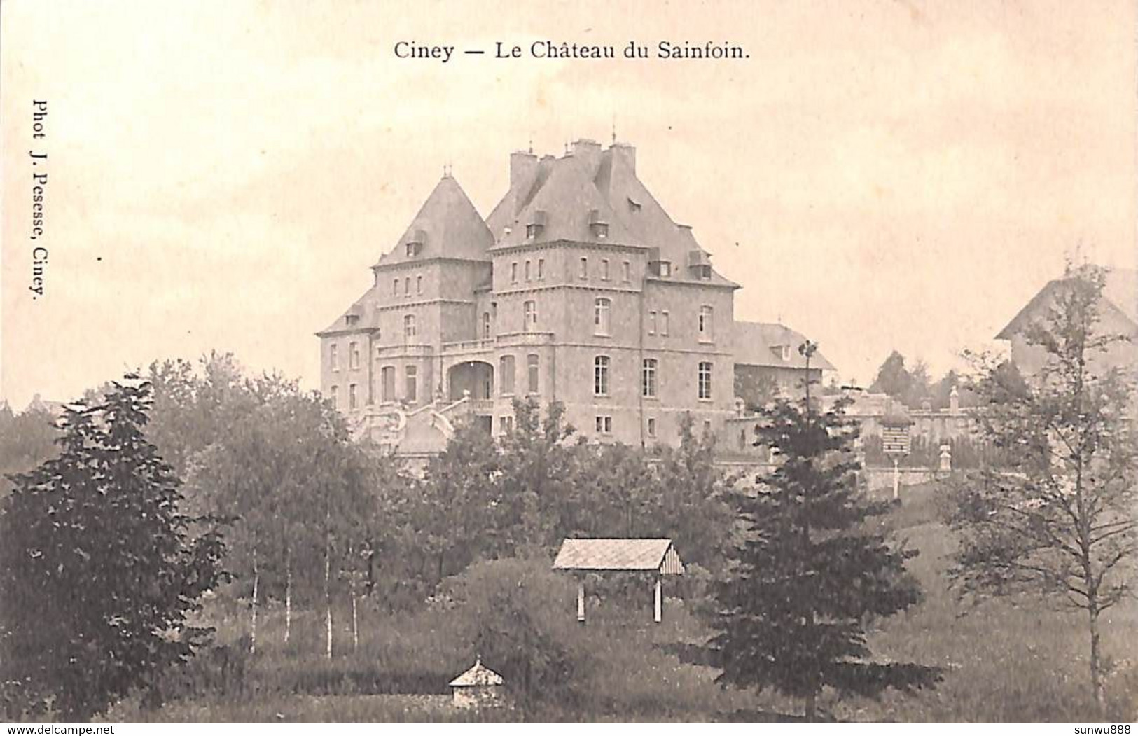 Ciney - Le Château Du Sainfoin (Phot. J Pesesse) - Ciney