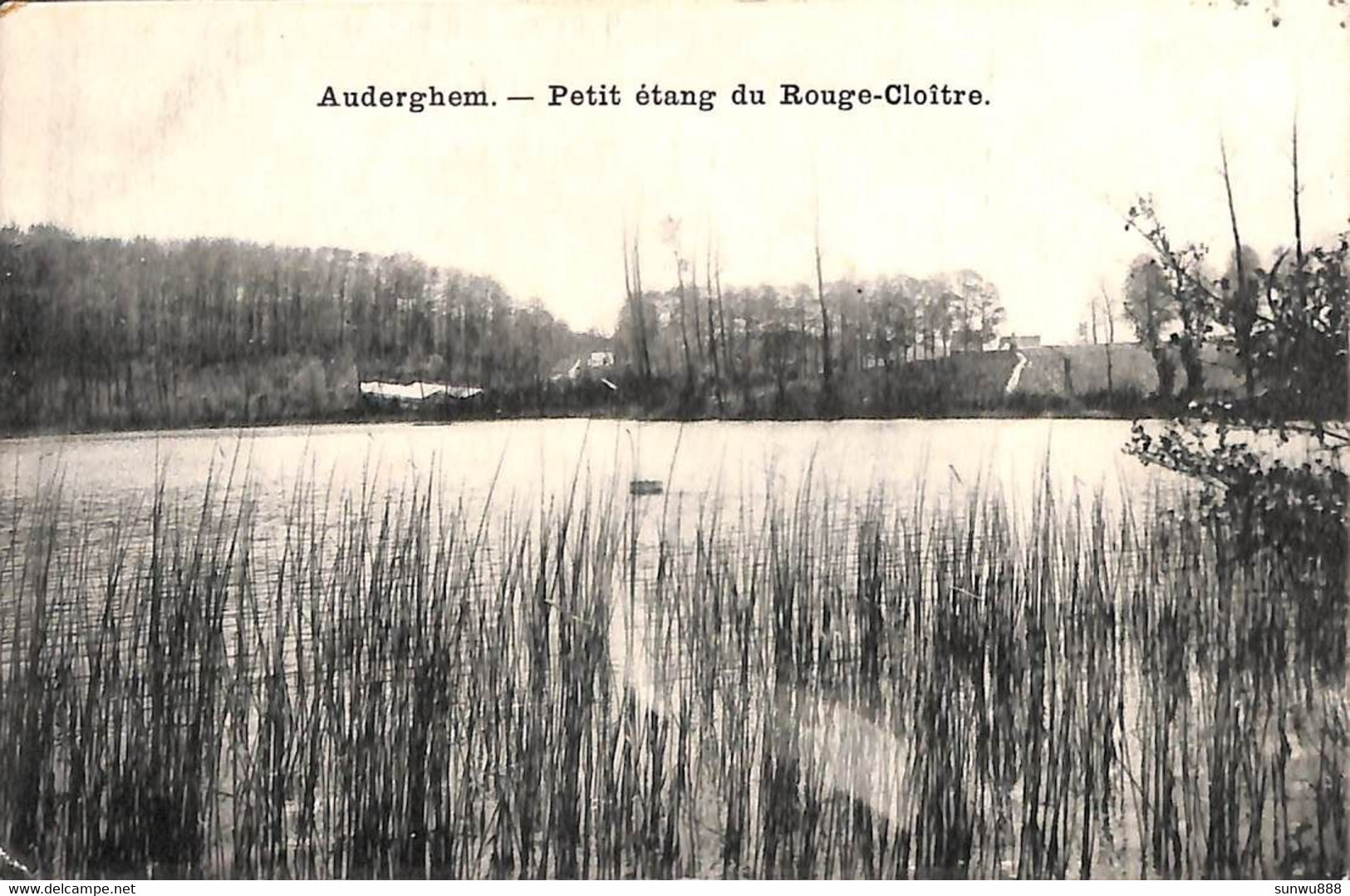 Auderghem - Petit étang Du Rouge-Cloître - Oudergem - Auderghem