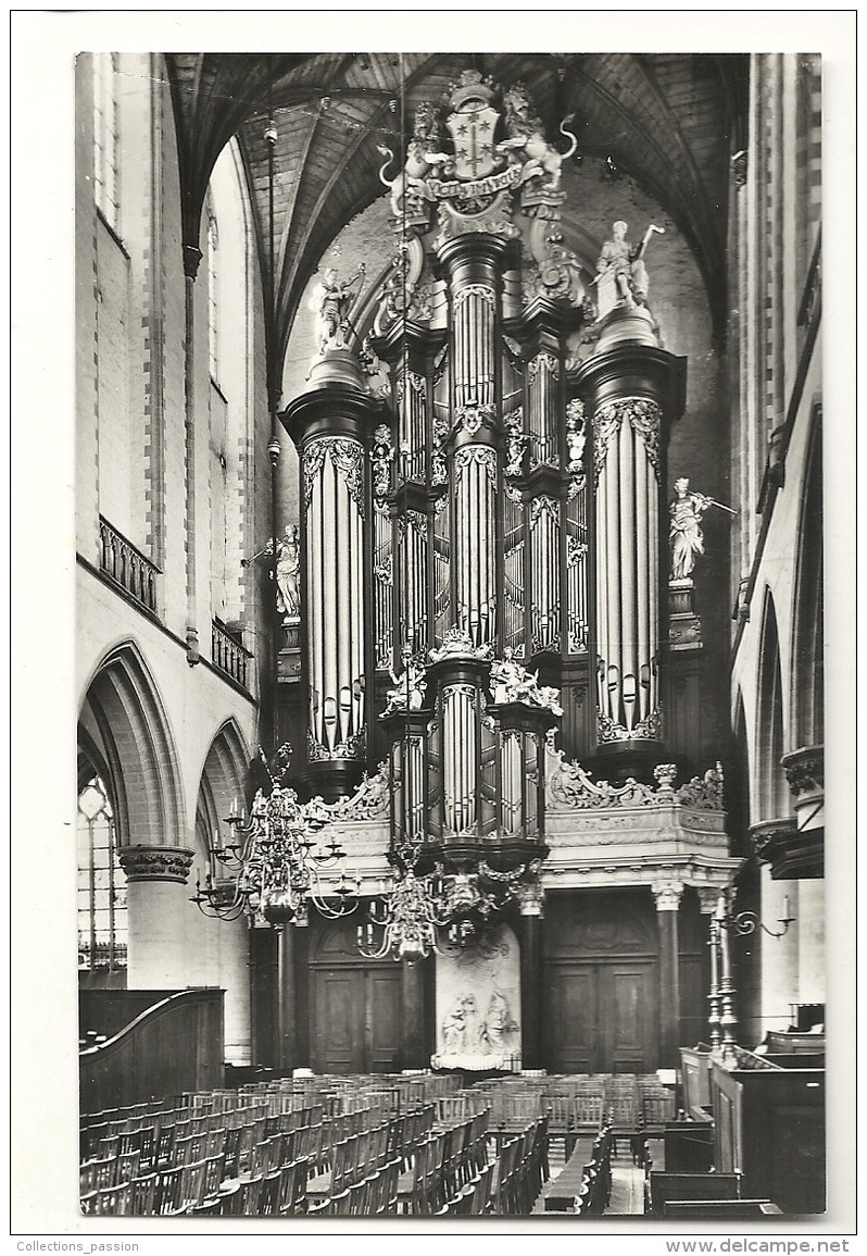 Cp, Pays-Bas, Haarlem, Grote Of St-Bavokerk, Orgel - Haarlem
