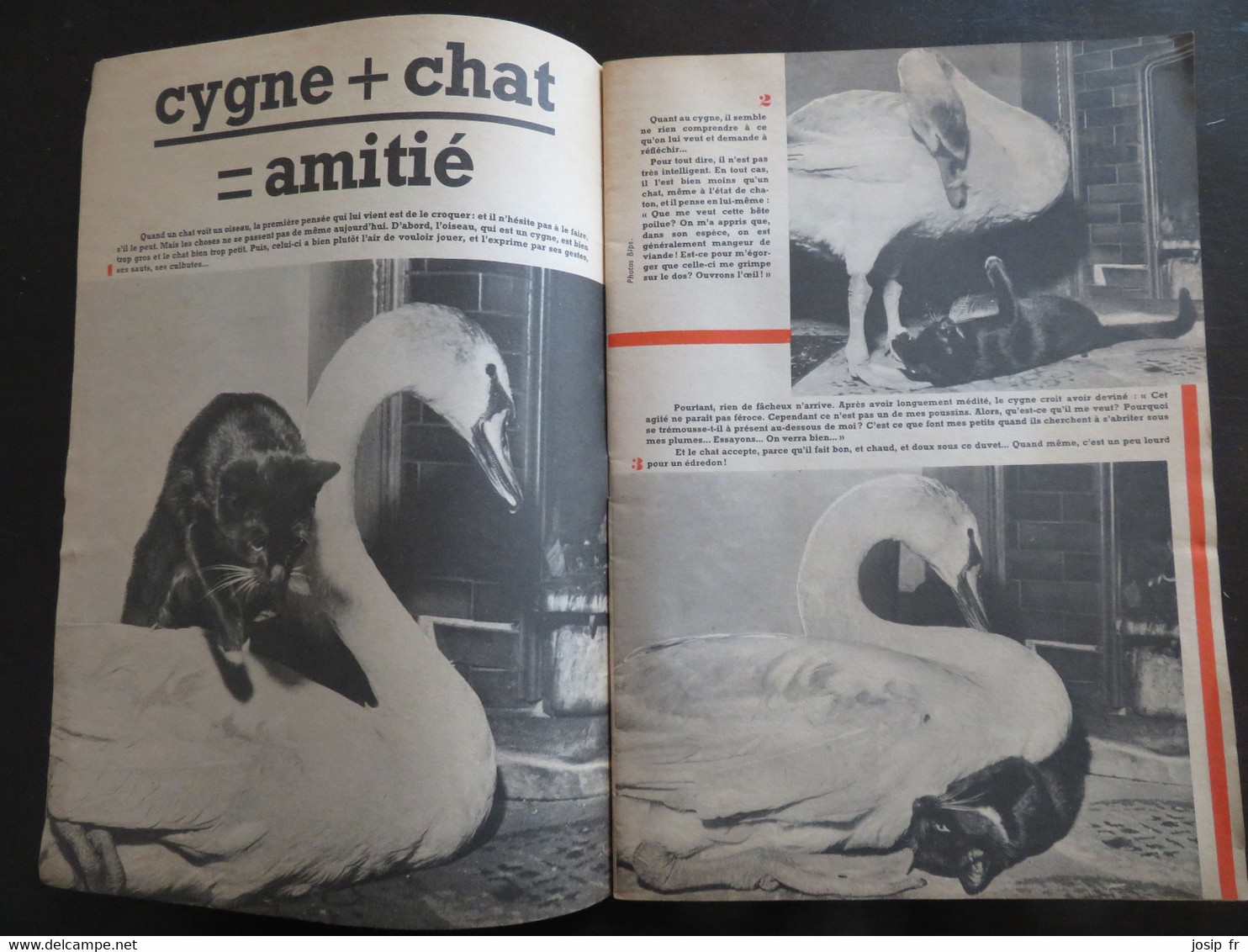FILLETTE N°2 (10/1963)- LILI- AGGIE- SYLVIA- ROMAN-PHOTO "LE MYSTÈRE DU F-BDAK"— MAY DUNNING- JILL & JAN JACKSON - Fillette