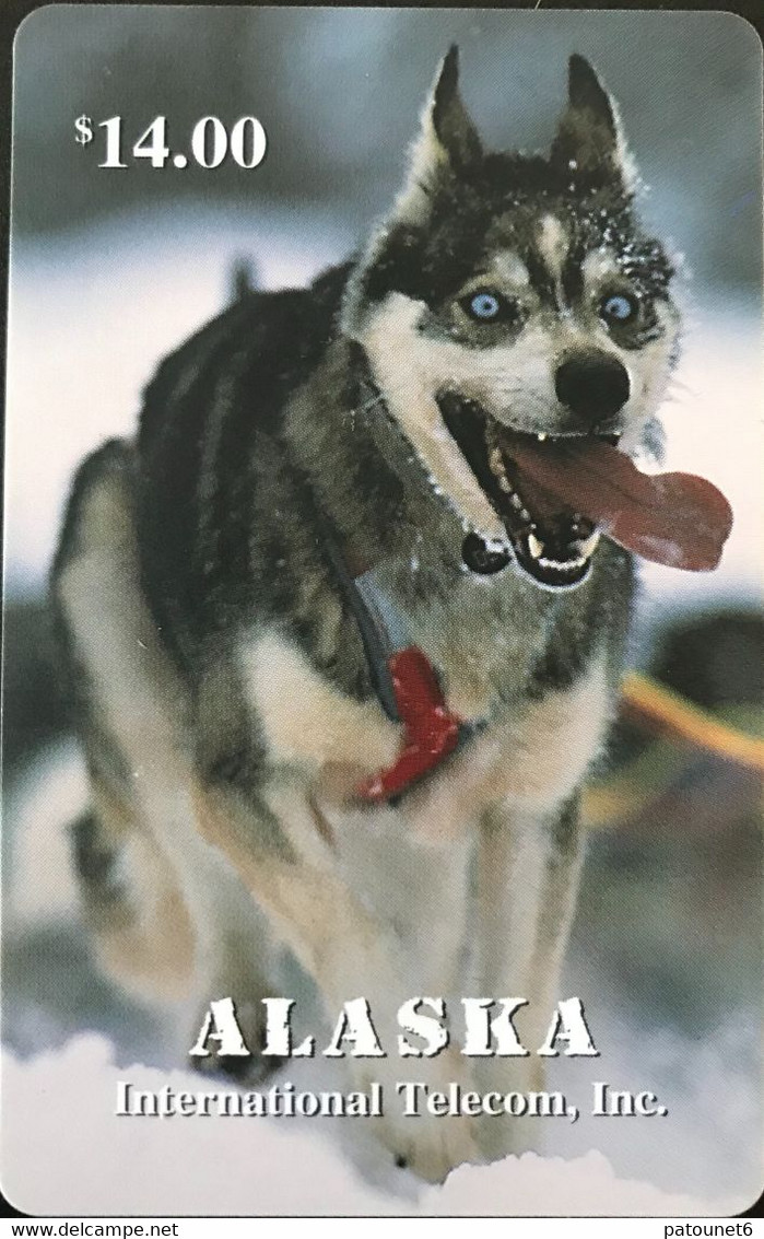 ALASKA  -   Alaska Dog  -  $14 - Cartes à Puce