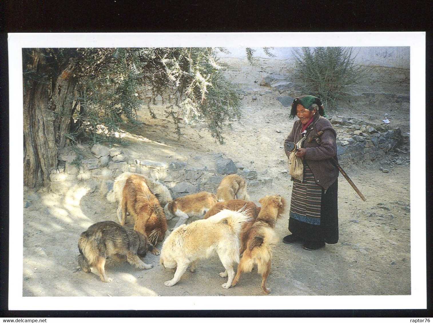 CPM Neuve TIBET Grand Mère Tibétaine  ( 1000 Ex. ) - Tíbet