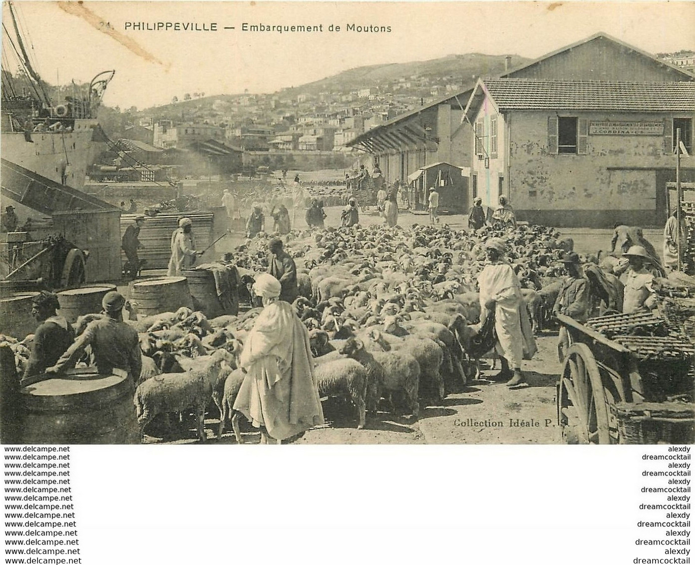 WW PHILIPPEVILLE. Embarquement Des Moutons En Algérie - Profesiones