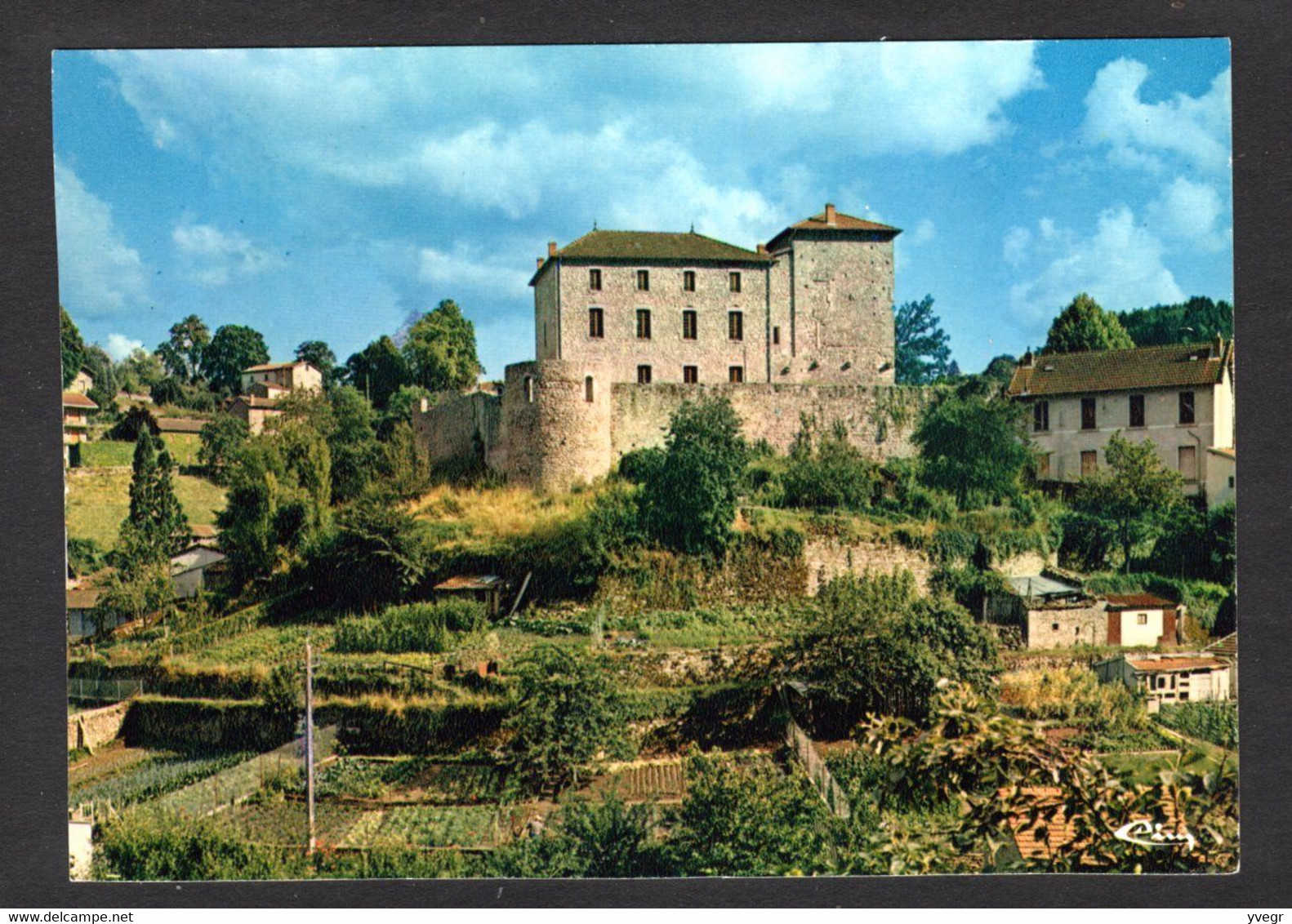 Vue Pas Courante - OLLIERGUES (63 P-de-D.) Le Château ( Cim N° 3.23.78.0282 ) Voir L'Etat - Olliergues