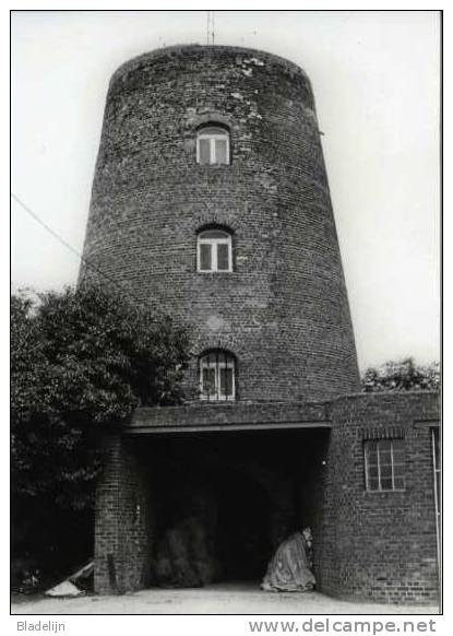 NEERVELP Bij Boutersem (Vlaams-Brabant) - Molen/moulin - Mooie Close-up Van Molen Wits In 1981 (stenen Molenromp) - Boutersem