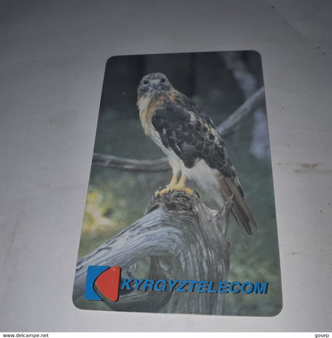 KYRGYZSTAN-(KG-KYR-0009B)-bird Of Prey2b-(27)-(100units)-(00177770)-(tirage-10.000)-used Card+1card Prepiad Free - Kirghizistan