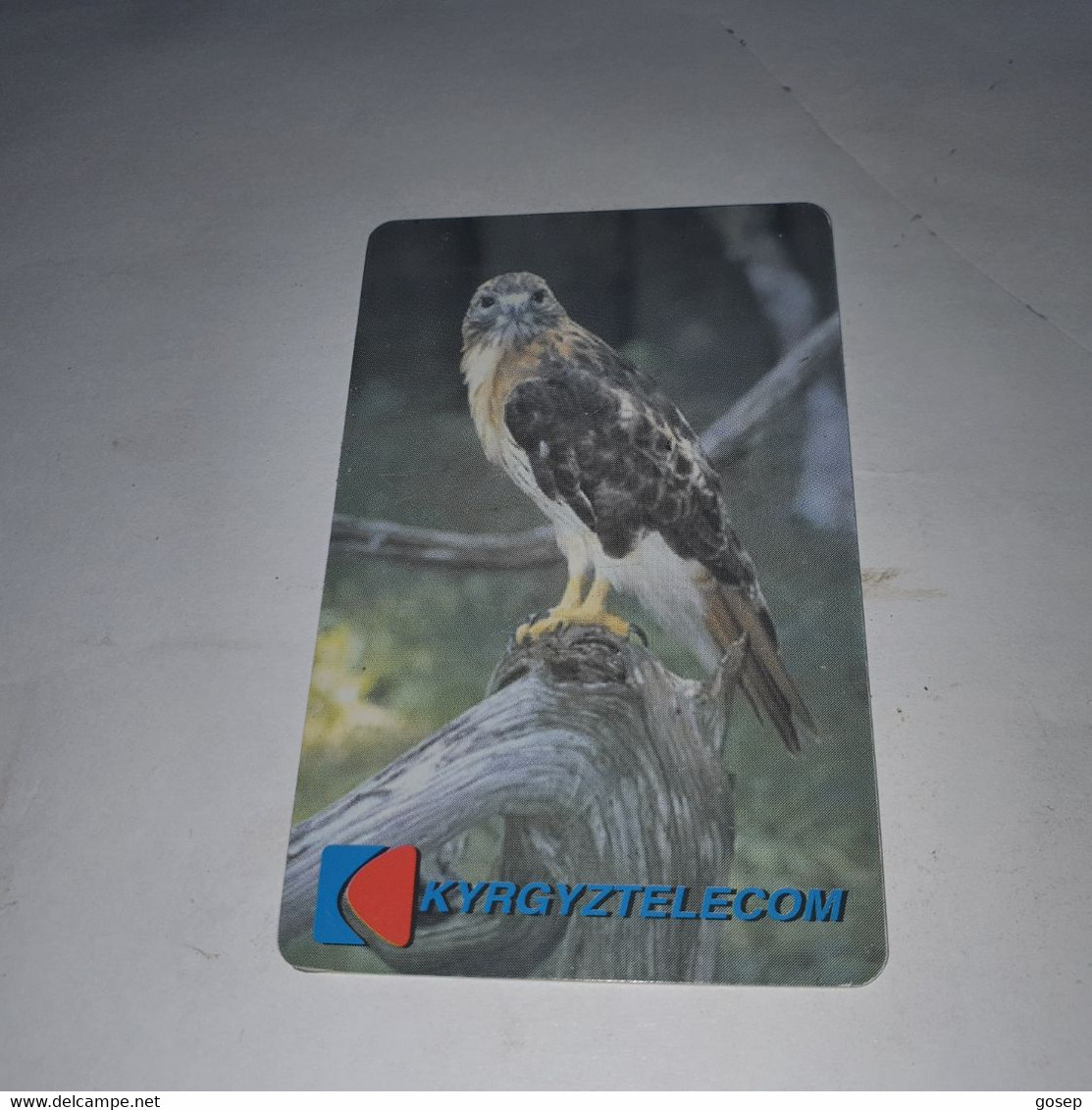 KYRGYZSTAN-(KG-KYR-0009B)-bird Of Prey2b-(28)-(100units)-(00175610)-(tirage-10.000)-used Card+1card Prepiad Free - Kirguistán