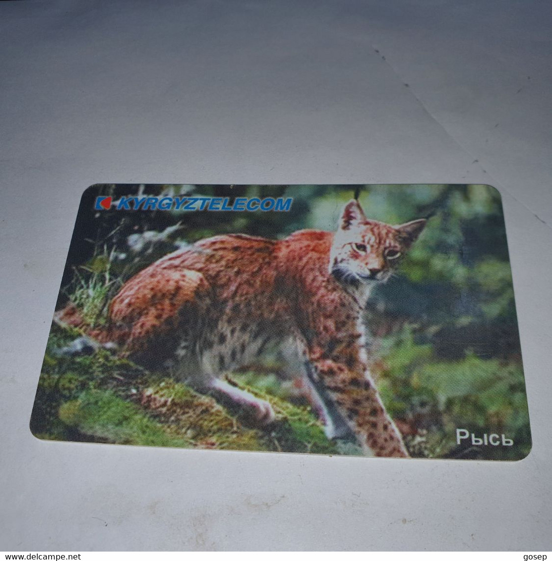 KYRGYZSTAN-(KG-KYR-0011A)-LYNX1-(30)-(50units)-(00302535)-(tirage-20.000)-used Card+1card Prepiad Free - Kyrgyzstan